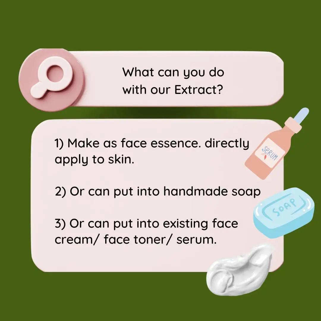 High Quality Soapberry Extract - Hair Care Essence avaliação e preço