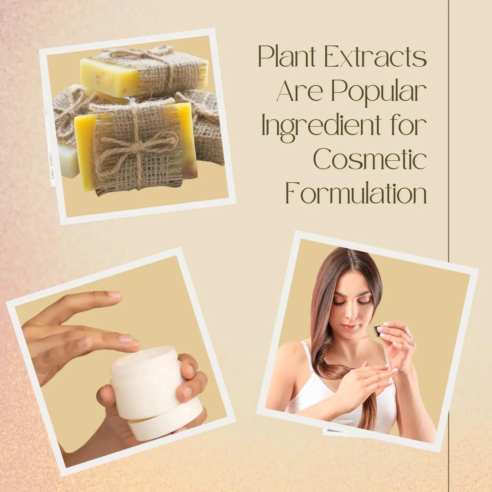 High Quality Soapberry Extract - Hair Care Essence avaliação e preço